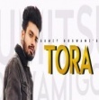 TORA by Sumit Goswami Mp3 Song Download
