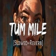 Tum Mile Slowed And Reverb Mp3 Song Download Pagalworld